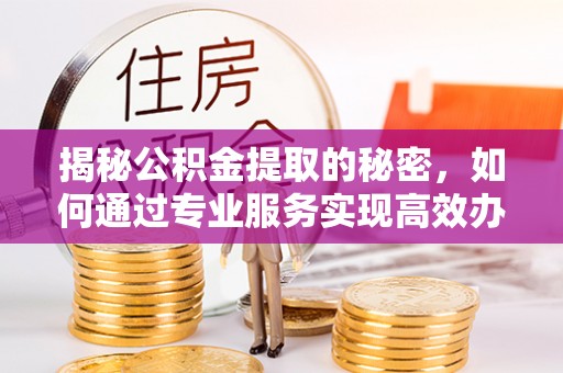 谯城揭秘公积金提取的秘密，如何通过专业服务实现高效办理？