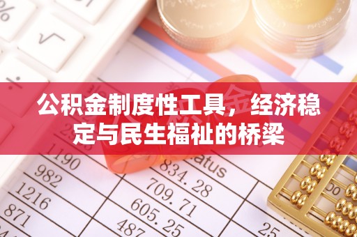 谯城公积金制度性工具，经济稳定与民生福祉的桥梁