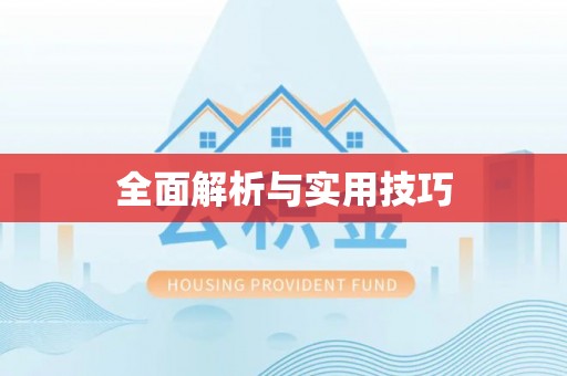 谯城全面解析与实用技巧