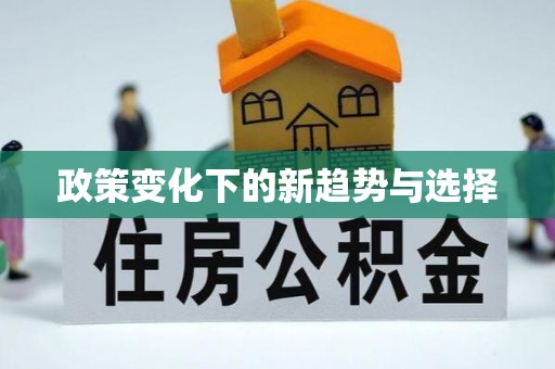 谯城政策变化下的新趋势与选择