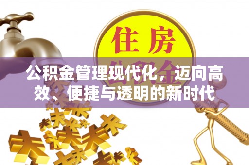 谯城公积金管理现代化，迈向高效、便捷与透明的新时代