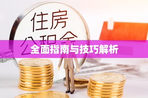 谯城全面指南与技巧解析