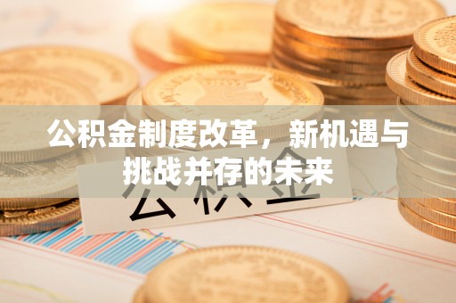谯城公积金制度改革，新机遇与挑战并存的未来