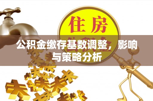 谯城公积金缴存基数调整，影响与策略分析