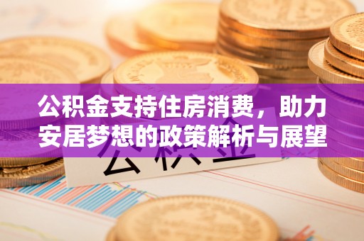 谯城公积金支持住房消费，助力安居梦想的政策解析与展望