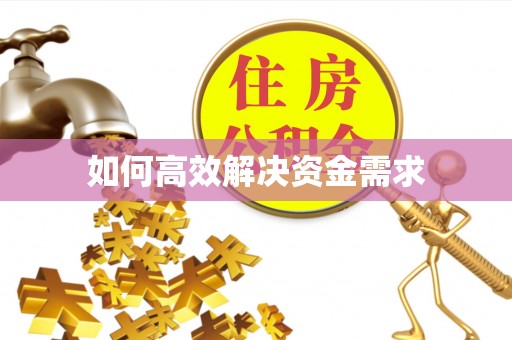谯城如何高效解决资金需求