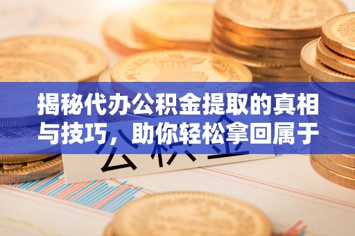 谯城揭秘代办公积金提取的真相与技巧，助你轻松拿回属于你的钱