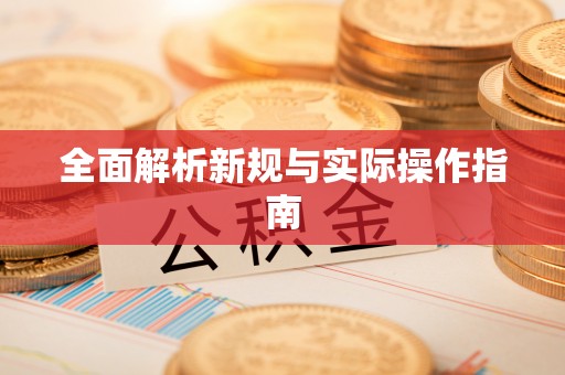 谯城全面解析新规与实际操作指南