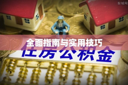 谯城全面指南与实用技巧
