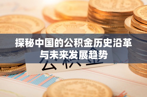 谯城探秘中国的公积金历史沿革与未来发展趋势