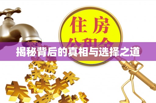 谯城揭秘背后的真相与选择之道