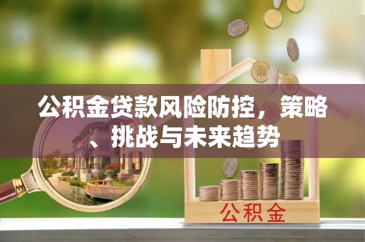 谯城公积金贷款风险防控，策略、挑战与未来趋势