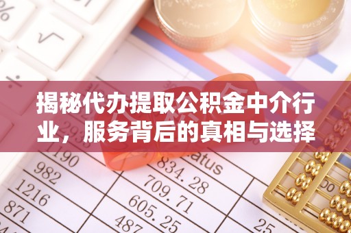 谯城揭秘代办提取公积金中介行业，服务背后的真相与选择指南