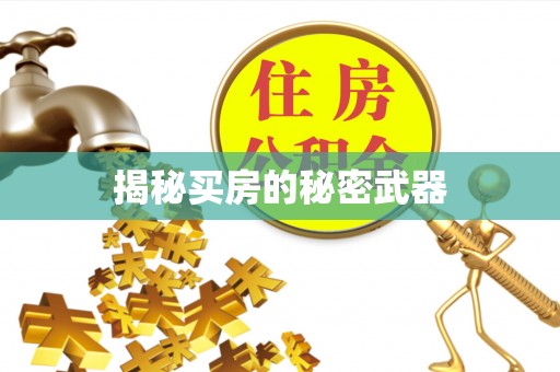 谯城揭秘买房的秘密武器