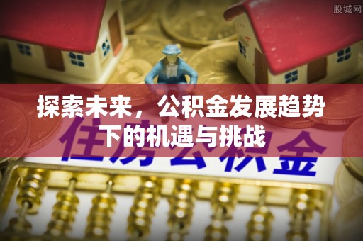 谯城探索未来，公积金发展趋势下的机遇与挑战