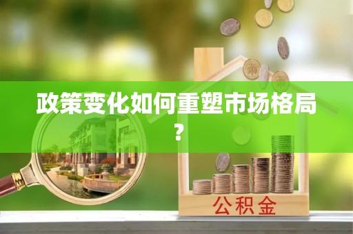 谯城政策变化如何重塑市场格局？