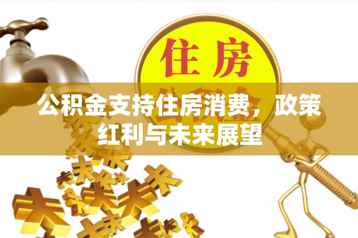 谯城公积金支持住房消费，政策红利与未来展望