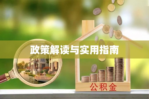 谯城政策解读与实用指南