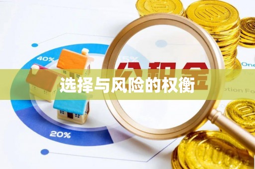 谯城选择与风险的权衡