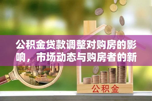 谯城公积金贷款调整对购房的影响，市场动态与购房者的新选择