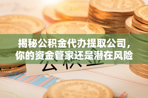 谯城揭秘公积金代办提取公司，你的资金管家还是潜在风险？