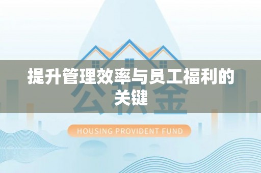 谯城提升管理效率与员工福利的关键