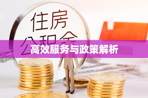 谯城高效服务与政策解析