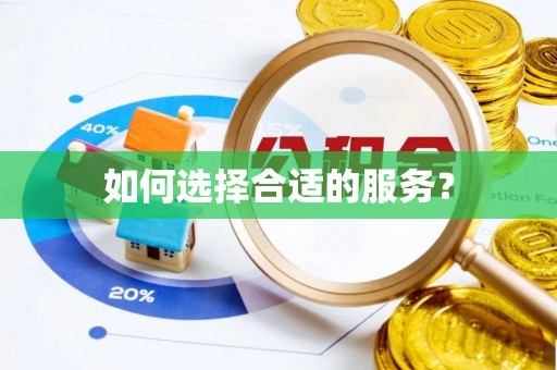谯城如何选择合适的服务？