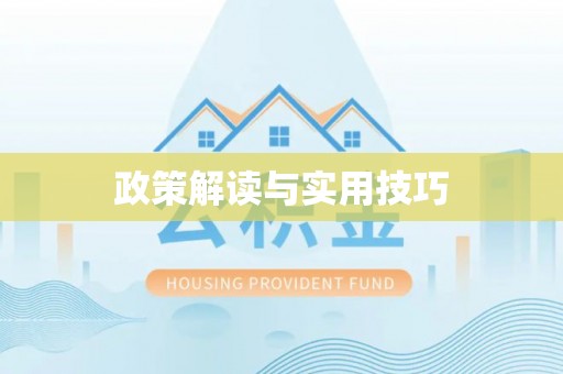 谯城政策解读与实用技巧