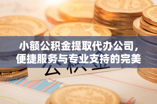 谯城小额公积金提取代办公司，便捷服务与专业支持的完美结合