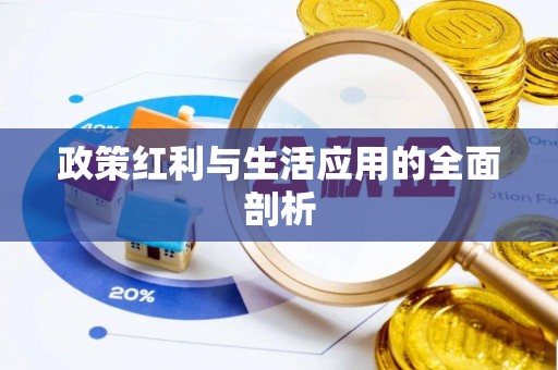 谯城政策红利与生活应用的全面剖析