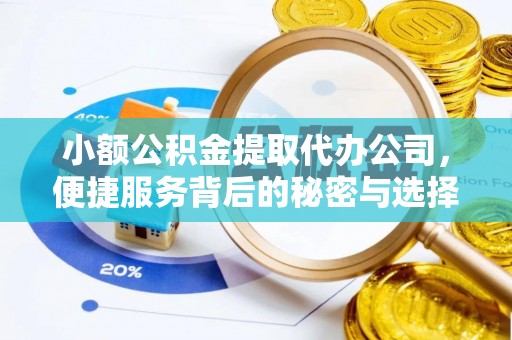 谯城小额公积金提取代办公司，便捷服务背后的秘密与选择指南