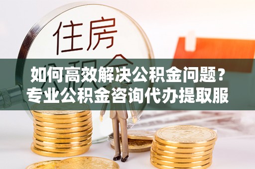 谯城如何高效解决公积金问题？专业公积金咨询代办提取服务来帮你