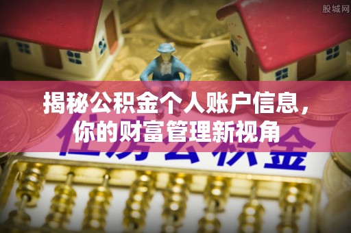 谯城揭秘公积金个人账户信息，你的财富管理新视角