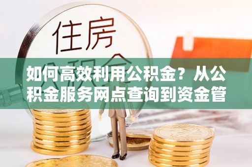 谯城如何高效利用公积金？从公积金服务网点查询到资金管理全攻略