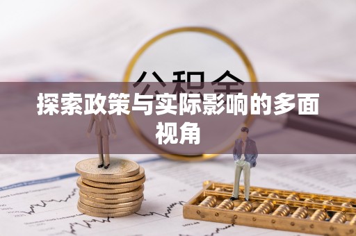 谯城探索政策与实际影响的多面视角