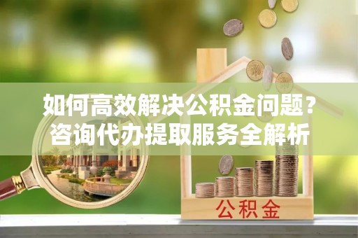 谯城如何高效解决公积金问题？咨询代办提取服务全解析