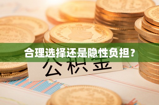 谯城合理选择还是隐性负担？