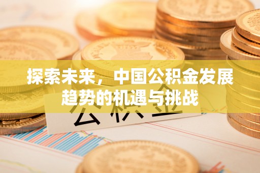 谯城探索未来，中国公积金发展趋势的机遇与挑战