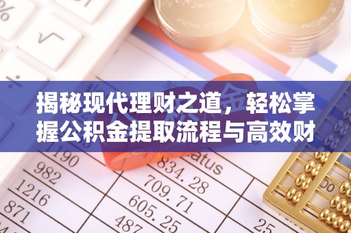 谯城揭秘现代理财之道，轻松掌握公积金提取流程与高效财务规划