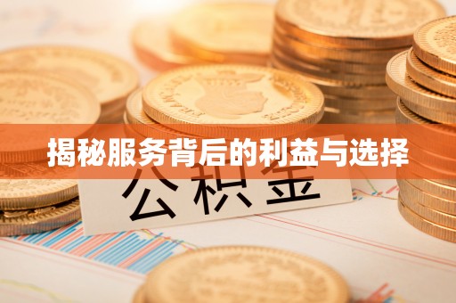 谯城揭秘服务背后的利益与选择