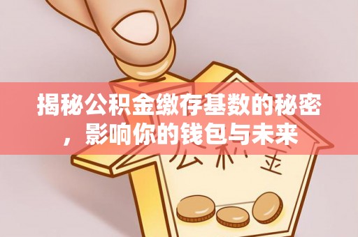 谯城揭秘公积金缴存基数的秘密，影响你的钱包与未来
