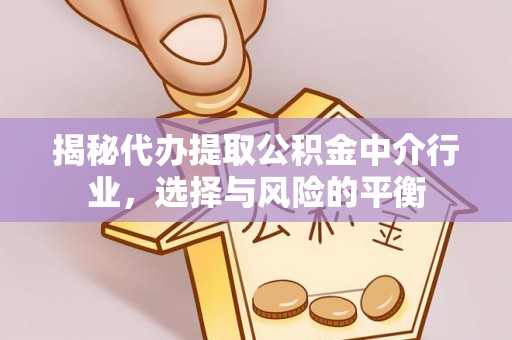 谯城揭秘代办提取公积金中介行业，选择与风险的平衡