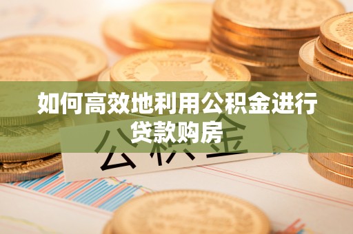 谯城如何高效地利用公积金进行贷款购房