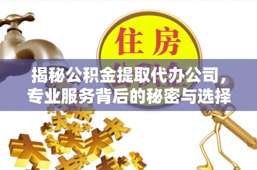谯城揭秘公积金提取代办公司，专业服务背后的秘密与选择指南