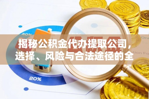 谯城揭秘公积金代办提取公司，选择、风险与合法途径的全面解析