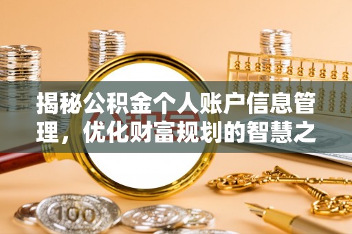 谯城揭秘公积金个人账户信息管理，优化财富规划的智慧之选