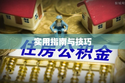 谯城实用指南与技巧
