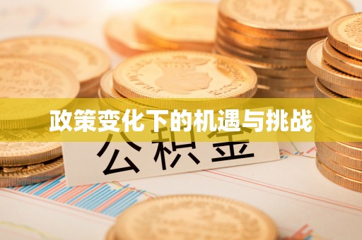 谯城政策变化下的机遇与挑战