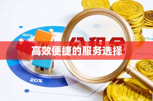 谯城高效便捷的服务选择